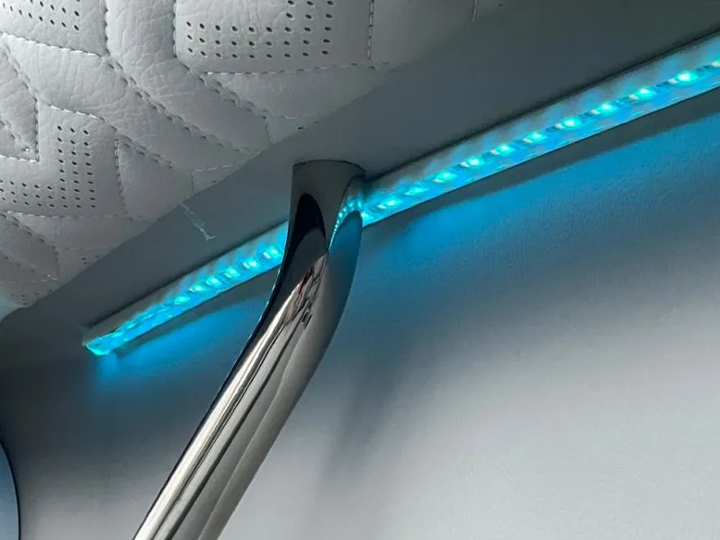 Slide: The Image of Regal LS9 Ultimate 2025 - 44