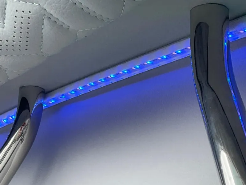 Slide: The Image of Regal LS9 Ultimate 2025 - 46