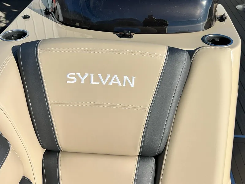 Slide: The Image of Sylvan L-3 QHS 2025 - 24