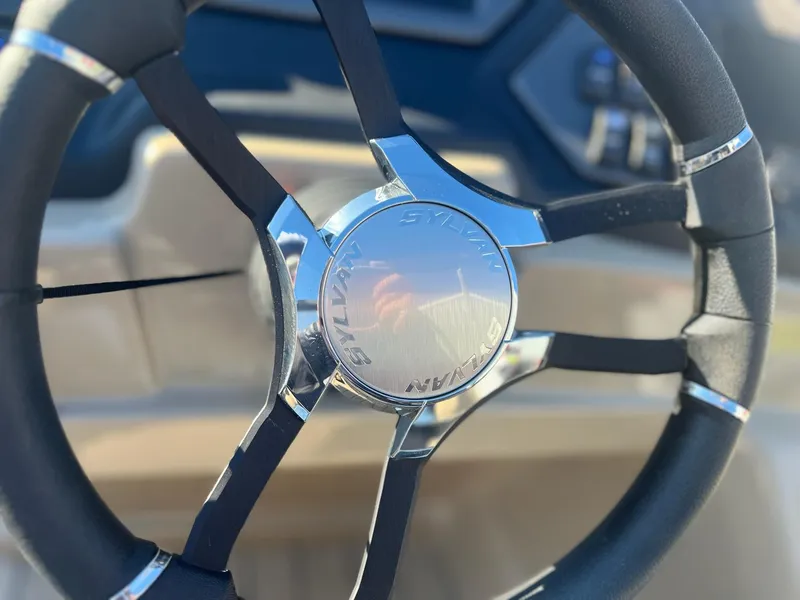 Slide: The Image of Sylvan L-3 QHS 2025 - 42