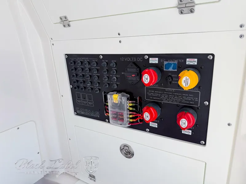 Slide: The Image of 2025 Caymas 281 HB electrical panel with switches and voltmeter. - 14