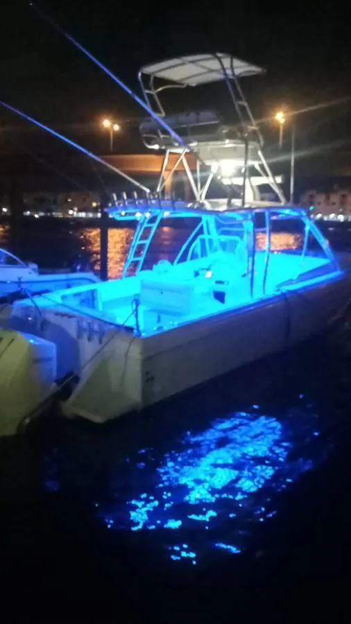 Slide: The Image of 2001 Intrepid 366 Cuddy boat illuminated with blue lights at night. - 5