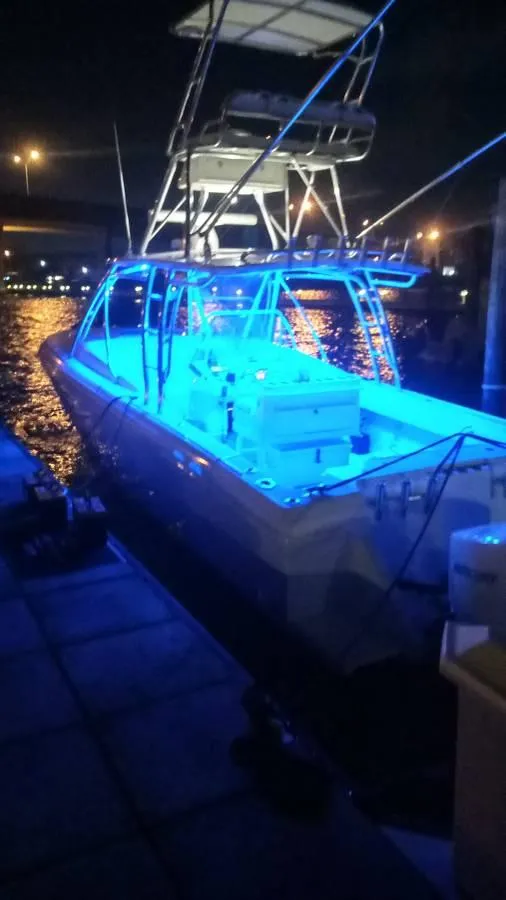 Slide: The Image of 2001 Intrepid 366 Cuddy boat illuminated at night with blue lights. - 7