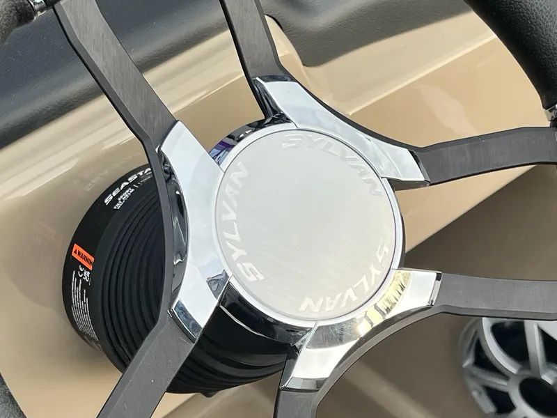 Slide: The Image of Sylvan L3 DLZ 2025 - 19