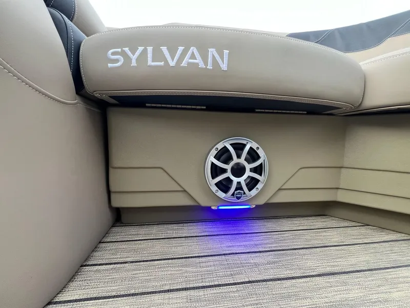 Slide: The Image of Sylvan L3 DLZ 2025 - 38