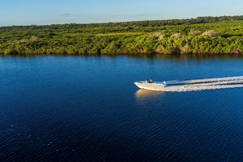 Slide: The Image of 2024 Boston Whaler 210 Vantage cruising on a serene lake with lush green shoreline. - 22