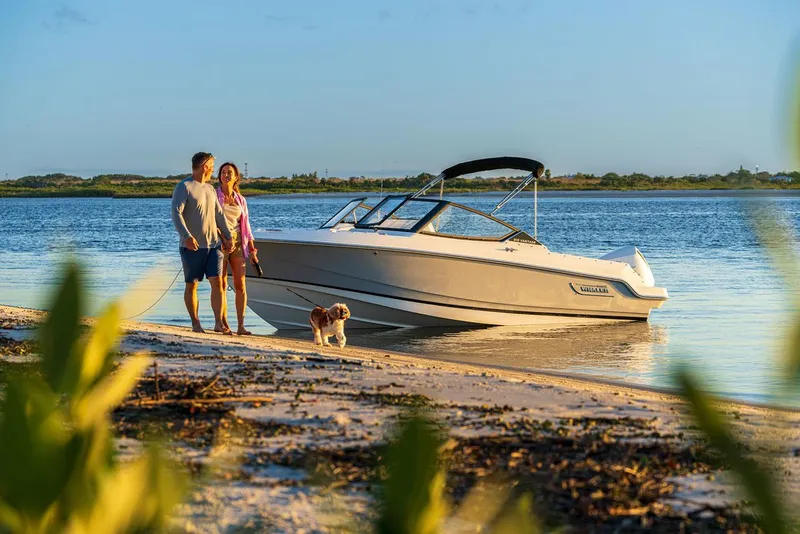 Slide: The Image of Couple with dog by 2024 Boston Whaler 210 Vantage on sunny beach. - 31