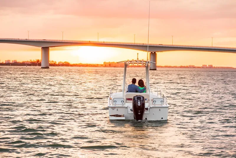 Slide: The Image of Boston Whaler 190 Montauk 2025 cruising under a bridge at sunset. - 24