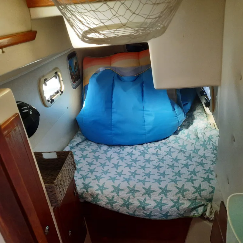 Slide: The Image of Cozy cabin interior of 2006 Gemini 105 MC sailboat with starfish-patterned bedding. - 7