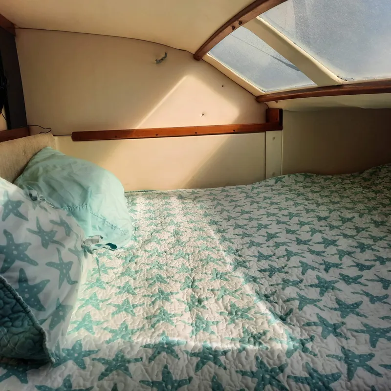 Slide: The Image of Cozy cabin interior of 2006 Gemini 105 MC with starfish-patterned bedding. - 8