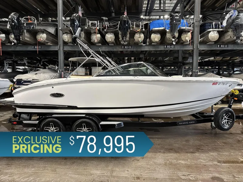 The Image of Cobalt CS23 2023 - 1