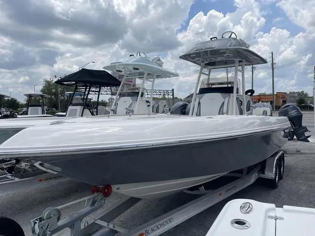 The Image of Blackwood 270 2023 - 1