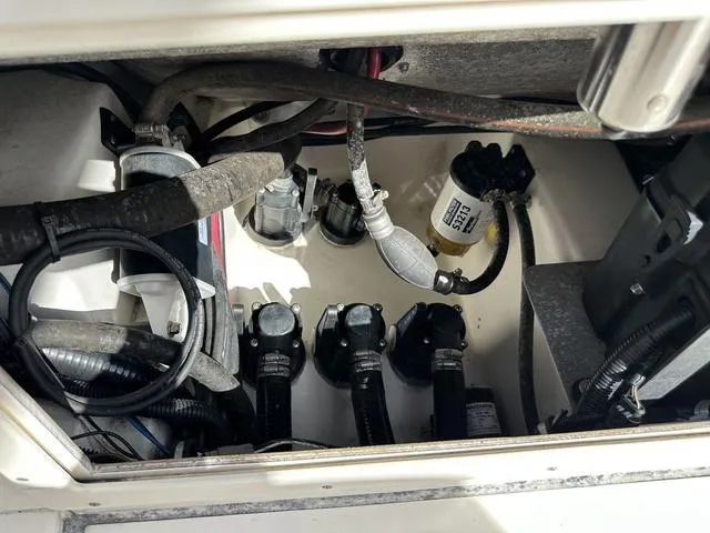 Slide: The Image of Blackwood 270 2015 - 26