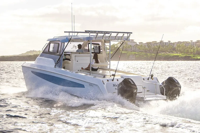 The Image of Manufacturer Provided Image - 0