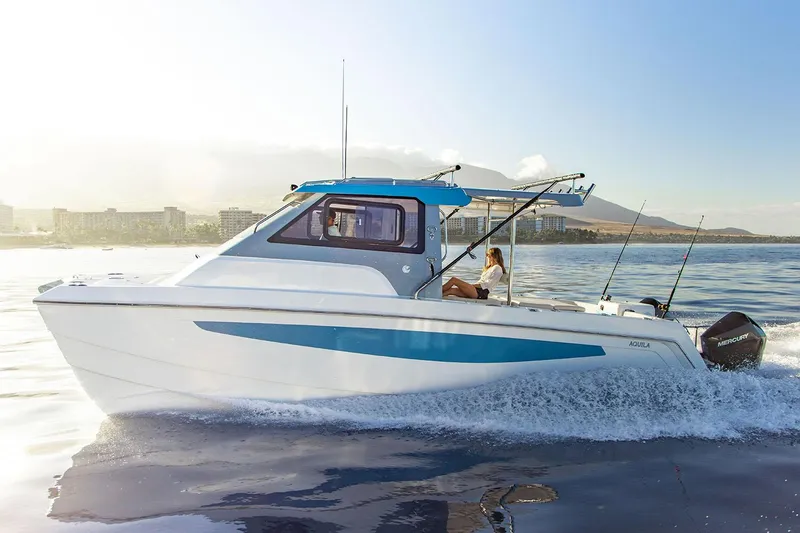 Slide: The Image of Manufacturer Provided Image - 4