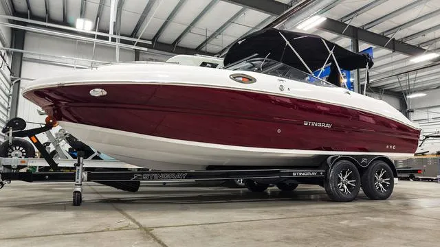 The Image of Stingray 231 DC 2025 - 1