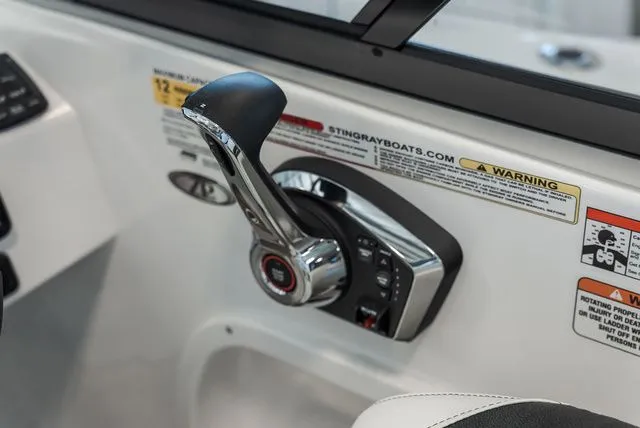 Slide: The Image of Stingray 231 DC 2025 - 13