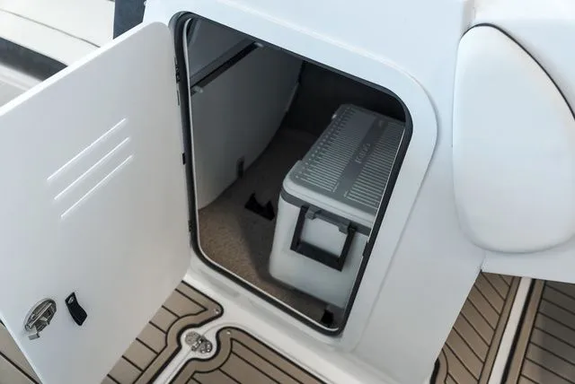 Slide: The Image of Stingray 231 DC 2025 - 17