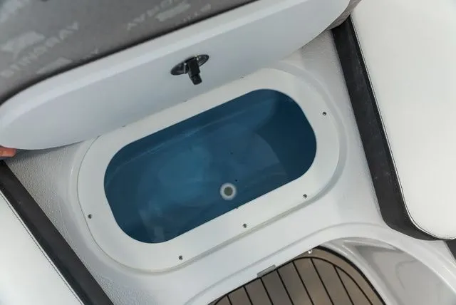 Slide: The Image of Stingray 231 DC 2025 - 20