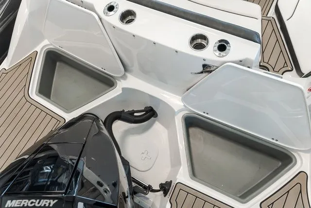 Slide: The Image of Stingray 231 DC 2025 - 3