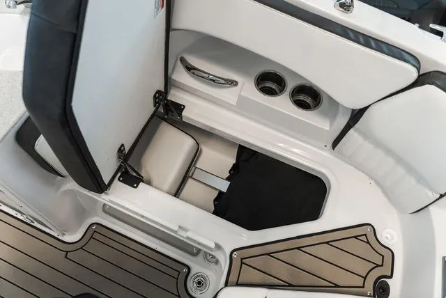 Slide: The Image of Stingray 231 DC 2025 - 6