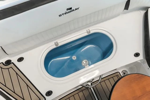 Slide: The Image of Stingray 231 DC 2025 - 7