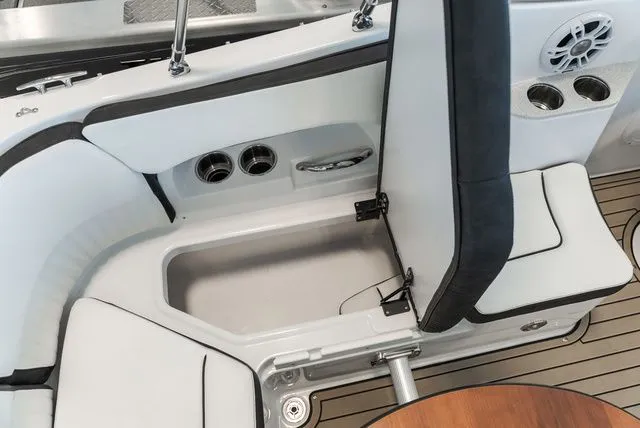 Slide: The Image of Stingray 231 DC 2025 - 8