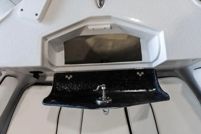 Slide: The Image of Stingray 216CC 2025 - 16