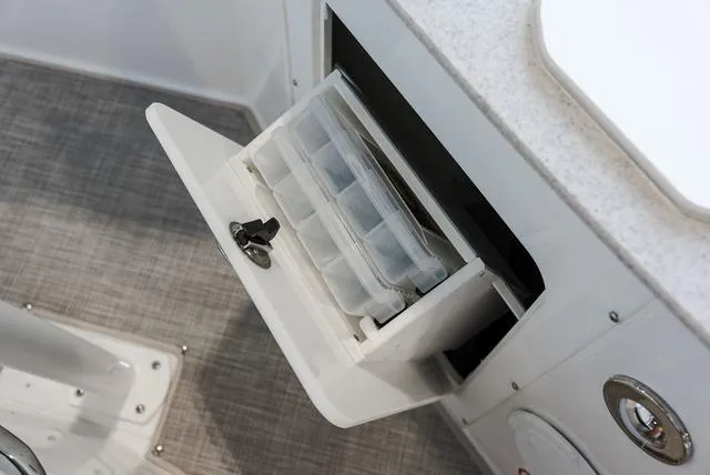 Slide: The Image of Stingray 216CC 2025 - 17