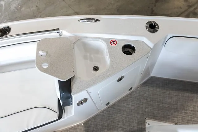 Slide: The Image of Stingray 216CC 2025 - 19