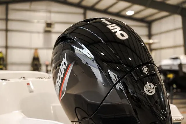 Slide: The Image of Stingray 216CC 2025 - 3