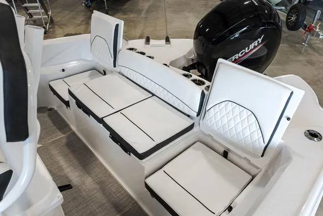 Slide: The Image of Stingray 216CC 2025 - 7