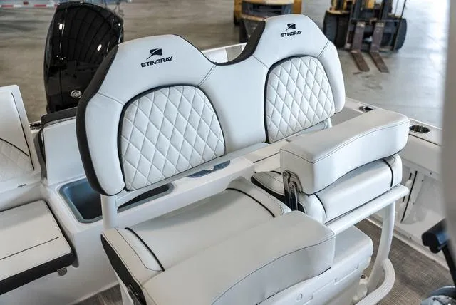 Slide: The Image of Stingray 216CC 2025 - 9