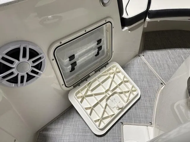 Slide: The Image of Stingray 206 CC 2023 - 13