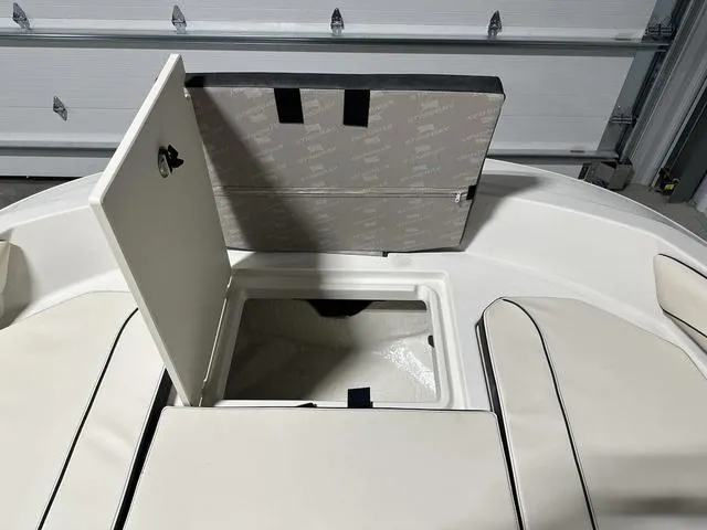 Slide: The Image of Stingray 206 CC 2023 - 21