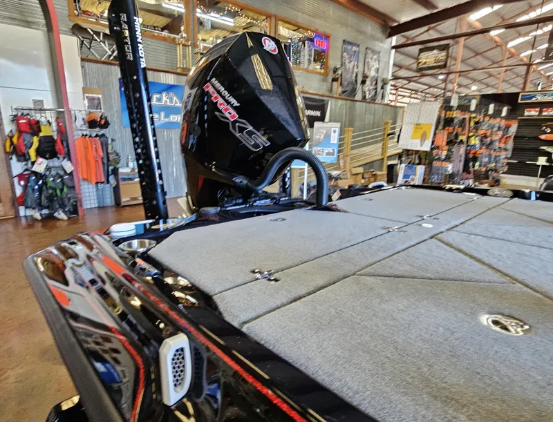 Slide: The Image of Bass Cat Caracal STS 2025 - 10