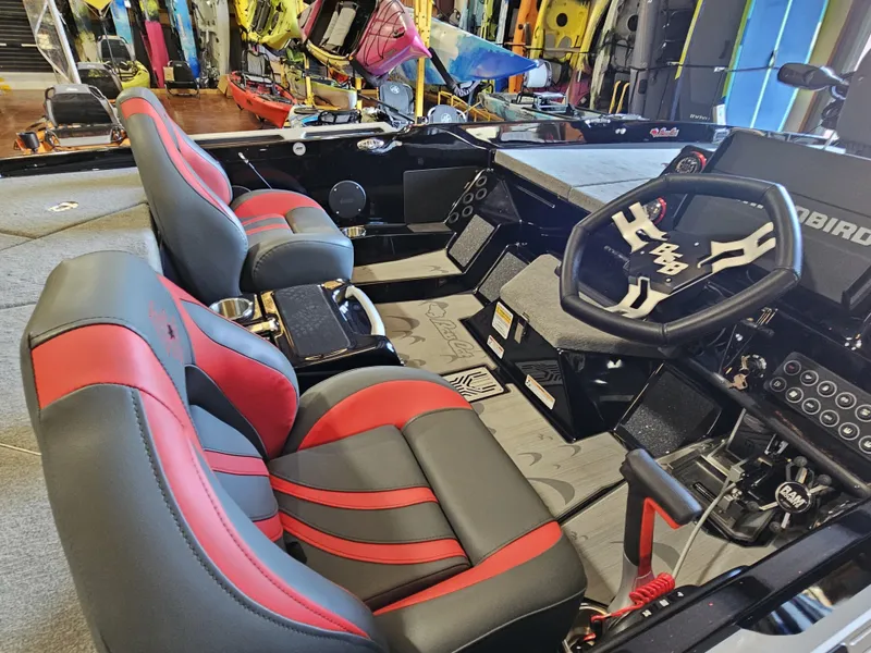 Slide: The Image of Bass Cat Caracal STS 2025 - 9