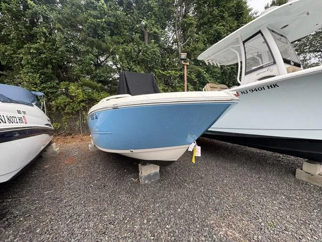 The Image of Stingray 173 CC 2024 - 1