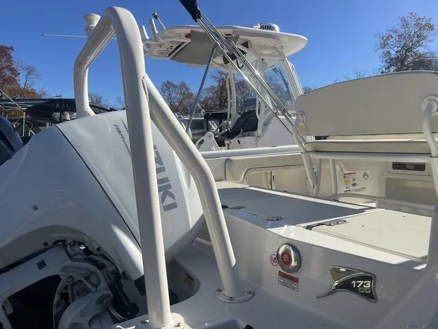 Slide: The Image of Stingray 173 CC 2024 - 5