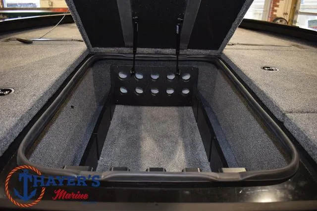 Slide: The Image of Ranger ALPHA 208 2025 - 22