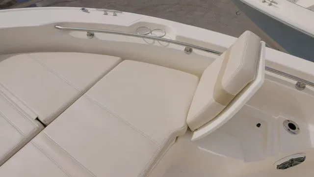 Slide: The Image of Boston Whaler 250 Dauntless 2024 - 10