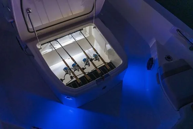 Slide: The Image of Boston Whaler 250 Dauntless 2024 - 12