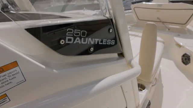 Slide: The Image of Boston Whaler 250 Dauntless 2024 - 3