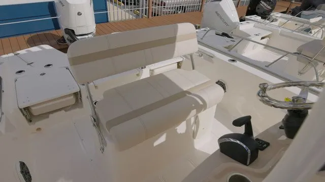 Slide: The Image of Boston Whaler 250 Dauntless 2024 - 4