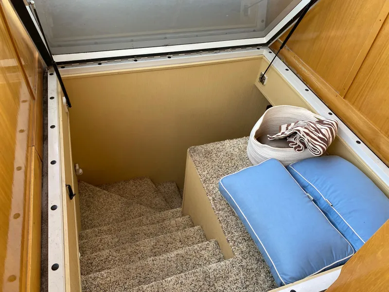 Slide: The Image of Skipperliner Millenium 2005 - 54