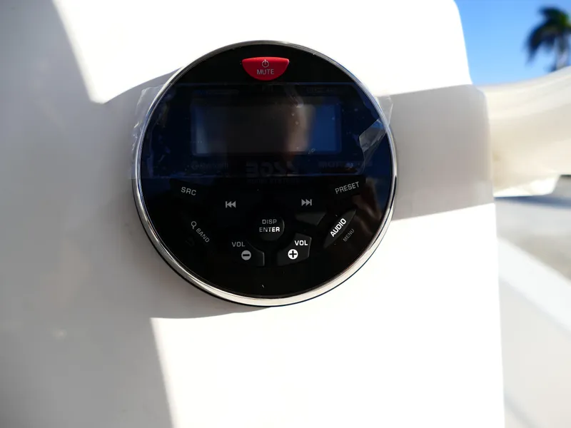 Slide: The Image of Close-up of a 2019 Sea Born LX22 Center Console audio control panel. - 16