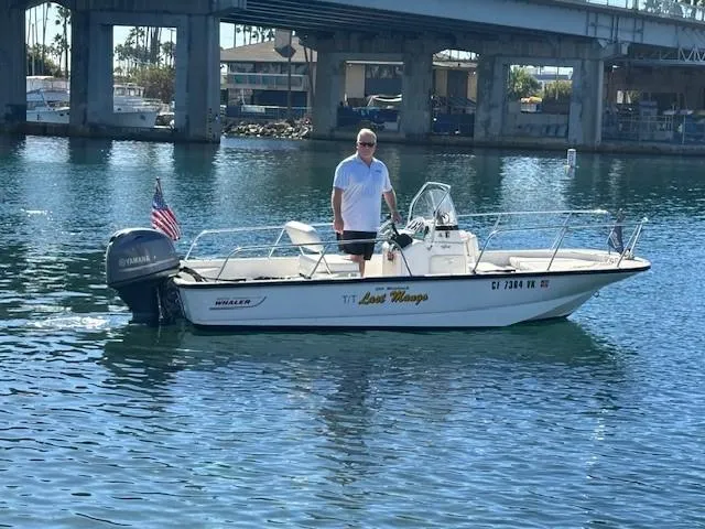 Slide: The Image of 2017 Boston Whaler 150 Montauk boat on water with person standing, bridge in background. - 0