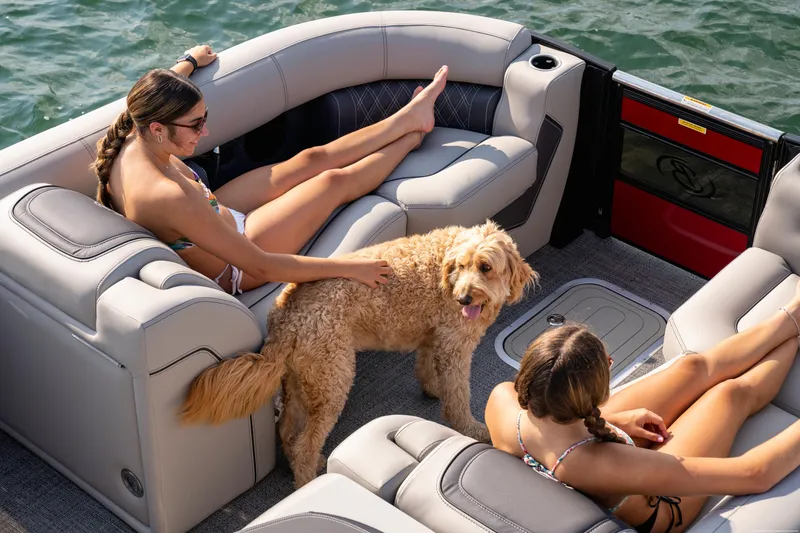 Slide: The Image of Image 6 - 6