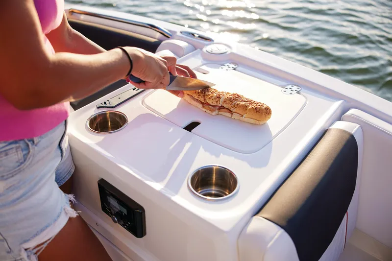 Slide: The Image of Tahoe 2150 2025 - 78