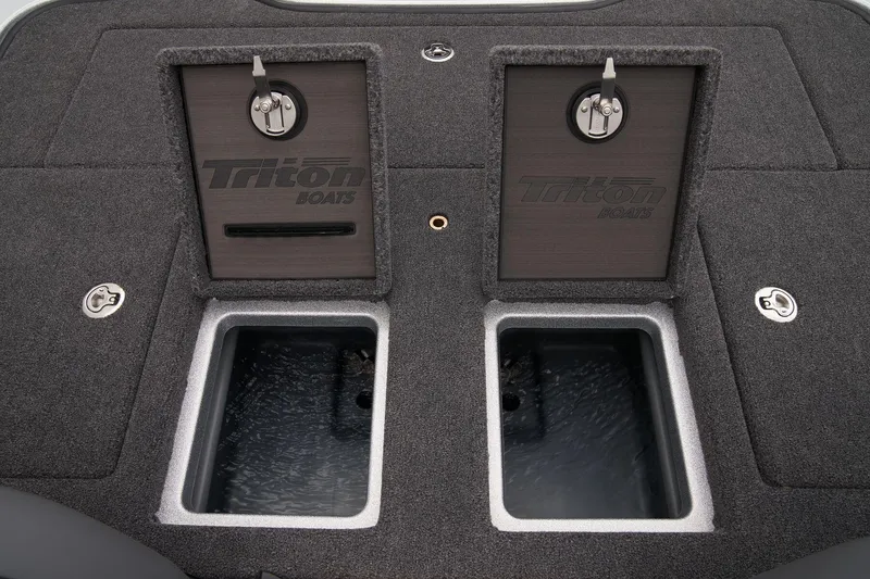 Slide: The Image of Triton 21XP Patriot 2025 - 82